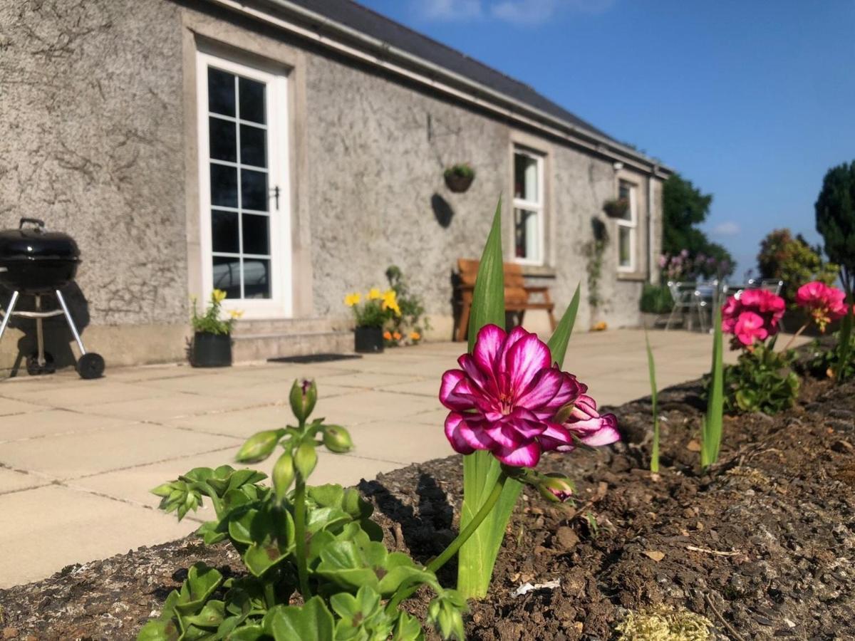 Ballyconnelly Cottages, Galgorm Area Cullybackey المظهر الخارجي الصورة